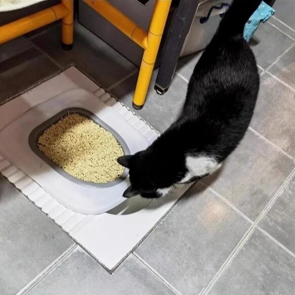 新款猫厕所训练器猫厕蹲坑训练器可拆卸循环使用智能马桶节省猫砂
