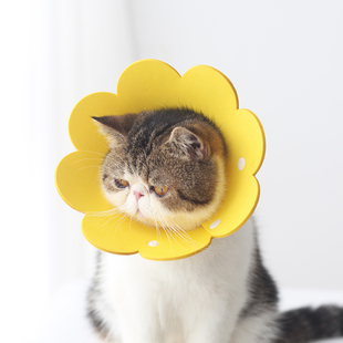 meoof 觅凹宠物伊丽莎白圈EVA轻薄材质多彩可爱围脖术后防舔舒适