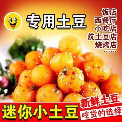 云南新鲜小土豆农家高山自种10斤5斤红皮黄心迷你洋芋马铃薯蔬菜