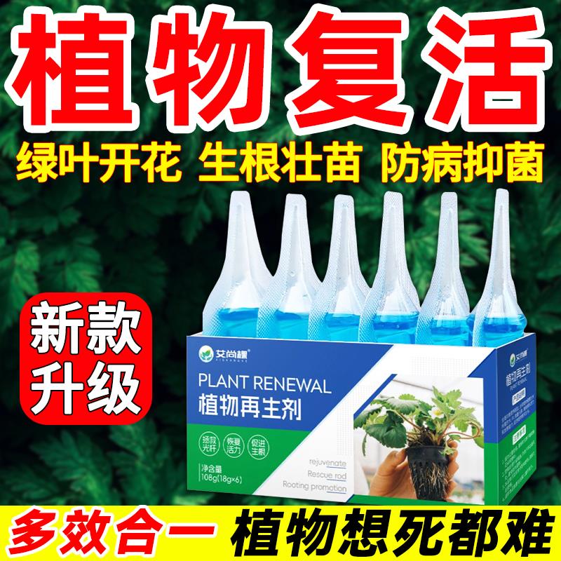 植物再生剂复活液花卉绿盆