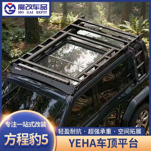 适用于方程豹5野煌车顶平台行李架树枝分离器爬梯侧挂板越野户外