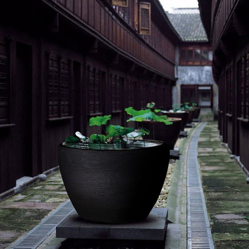 景德镇庭院睡莲荷花缸手工陶瓷