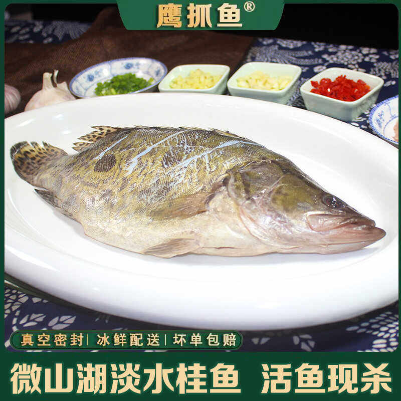 桂鱼/鳜鱼微山湖桂鱼鳜鱼冰鲜大