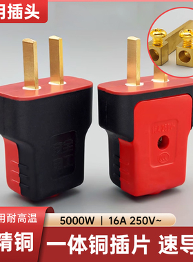 【5000W】牛加厚纯铜插头二脚不带线防摔连体铜16A大功率电源叉头