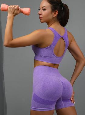 Yoga Clothes Set Sports Bra Women Fitness Wear Vest Running