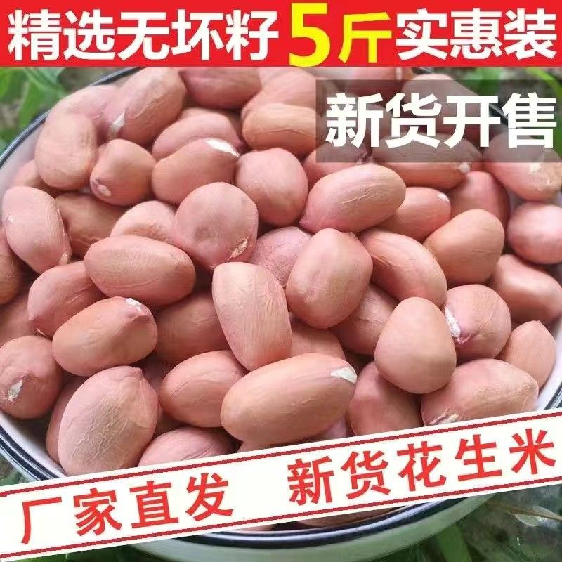当季新优质花生米小白沙便宜无壳小颗粒生花生米整箱商用油炸油