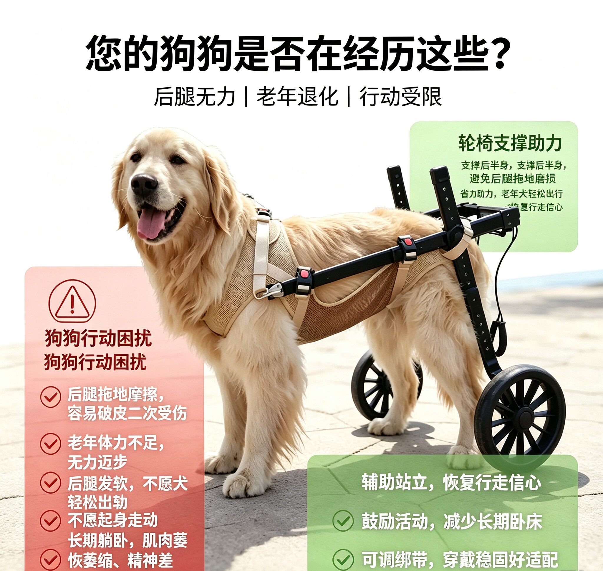 宠物狗狗瘫痪轮椅 老年中大型犬后腿助行器金毛残疾康复代步车