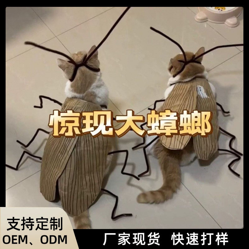 猫咪蟑螂服纯情蟑螂火辣辣条纹手工diy猫咪衣服材料包网红猫衣服