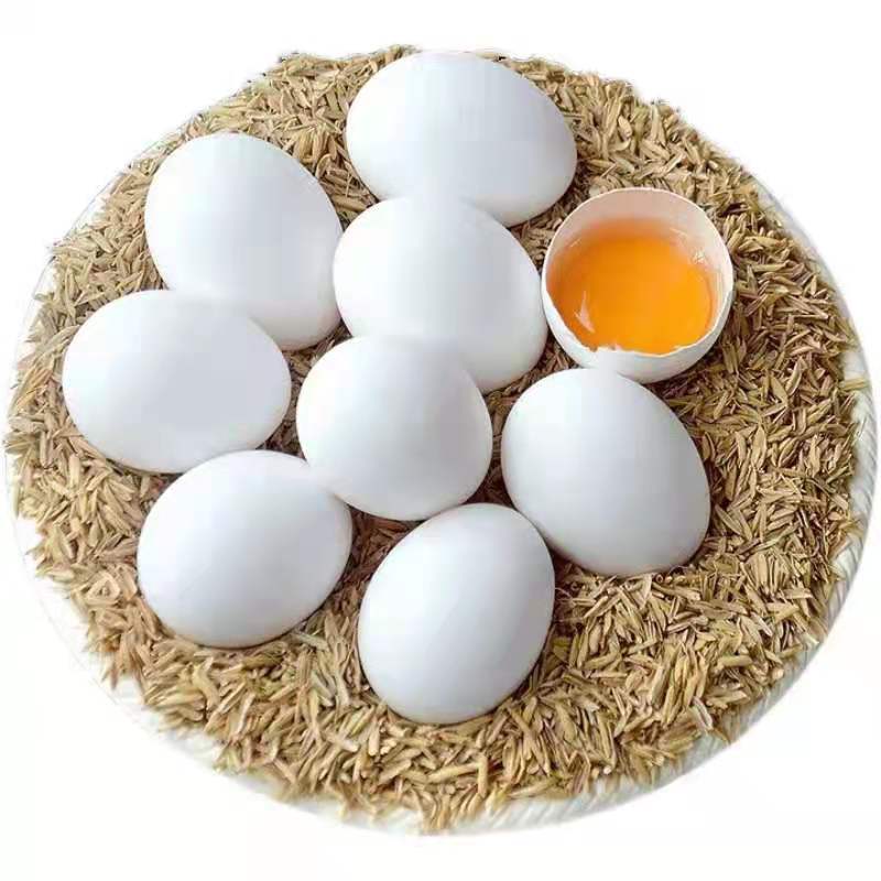 白壳鸡蛋白皮鸡蛋正宗农家散养现捡现发孕妇宝宝辅食整箱包邮