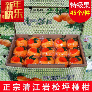 湖北长阳岩松坪正宗清江椪柑芦柑橘子特级果新鲜孕妇水果14斤装