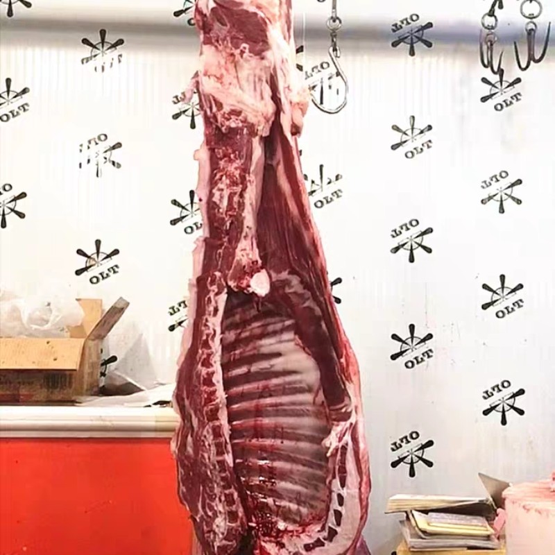 半只羊宁夏滩羊肉新鲜现杀清真