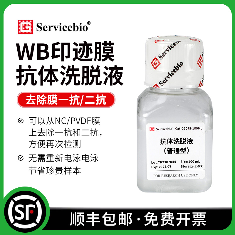 赛维尔 Western blot 抗体洗脱液 普通型/增强型 NC/PVDF膜再生液