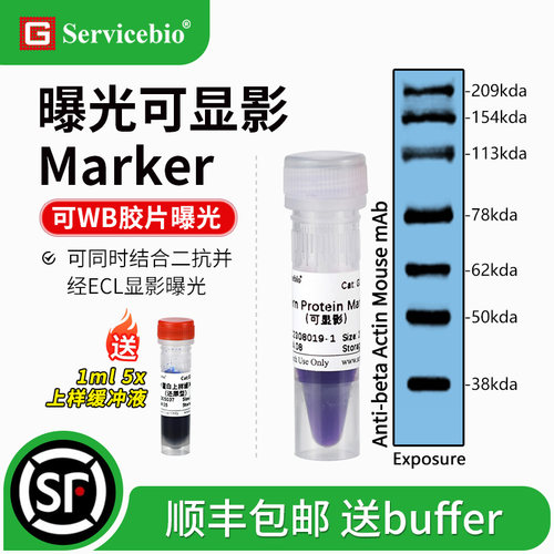 赛维尔实验试剂曝光显影