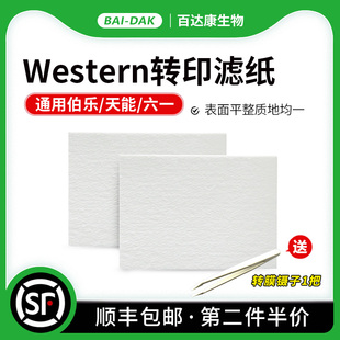 六一Thermo转印槽1703932 Western转印转膜湿转滤纸适用伯乐 天能