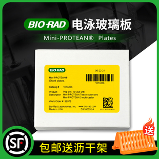 百达康WesternBlot电泳玻璃板WB长板0.75 1.5通用伯乐Biorad 1.0