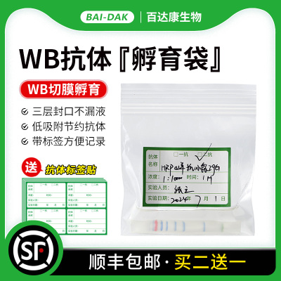 百达康生物耗材WB抗体孵育袋