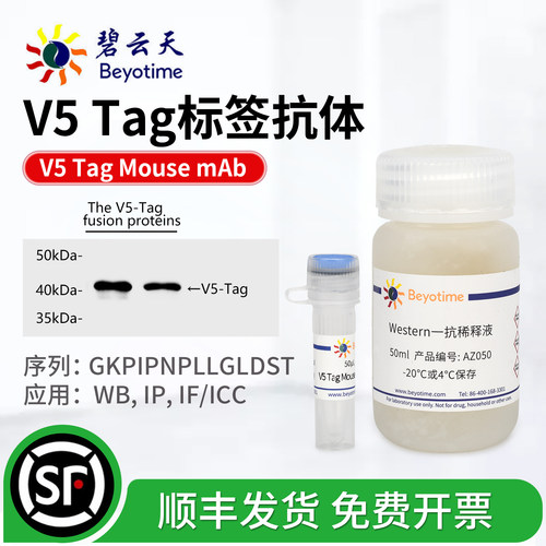 碧云天V5标签鼠单克隆抗体