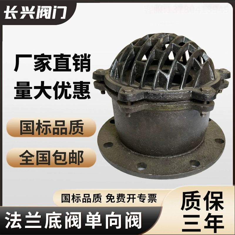 法兰底阀单向阀止回阀碳钢水泵抽水泵吸水底阀全国包邮质保三年DN