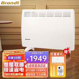 欧式 节能省电 快热炉 取暖器 家用电暖器 Brandt 电暖气片 白朗