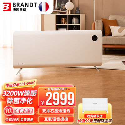 白朗（Brandt）取暖器家用石墨烯恒温3200W大功率轻音速热电暖器