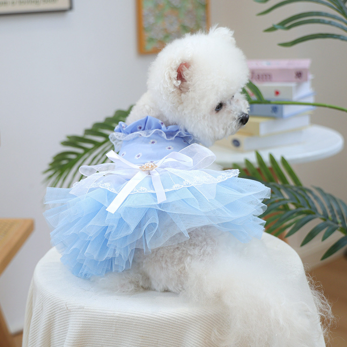 PETCIRCLE宠物圈中小型犬