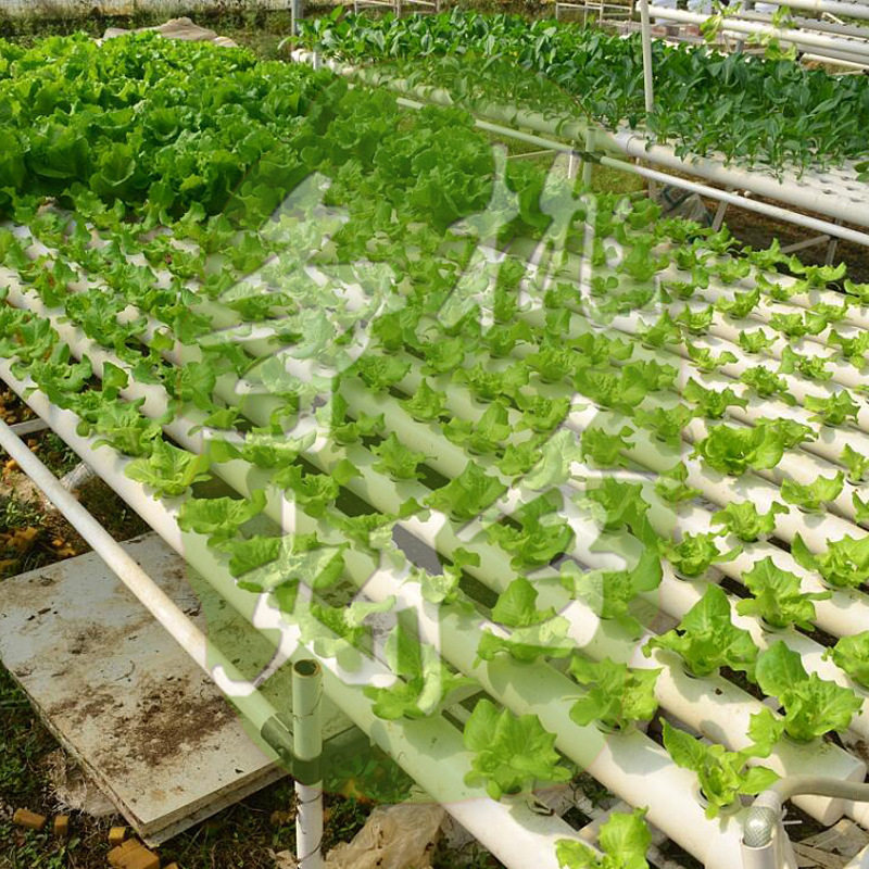 大棚天台农业大型水培蔬菜种菜机无土栽培管道设备4米定做加工