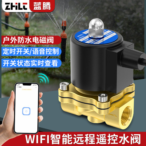 蓝腾WiFi智能遥控定时开关电磁阀