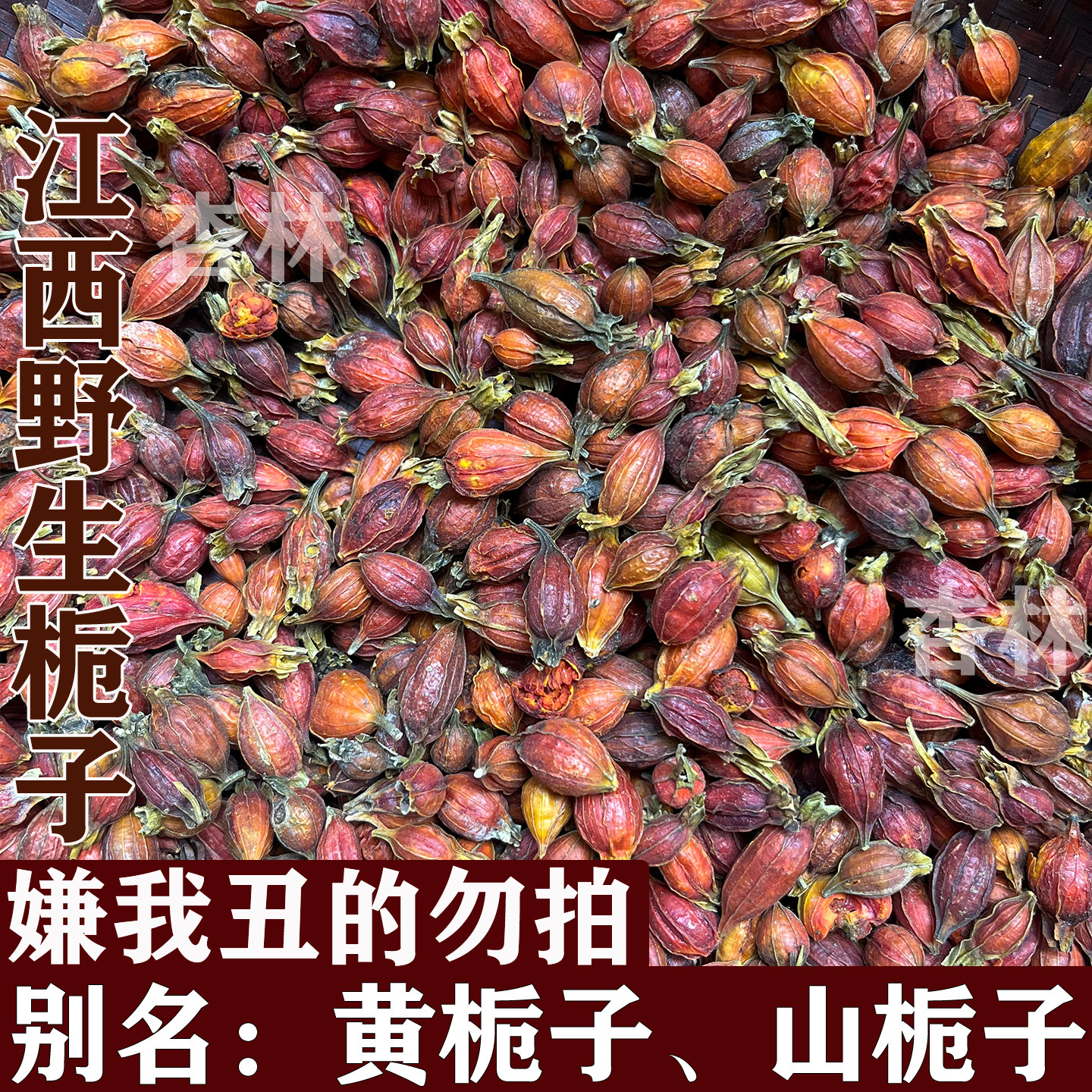 江西野生栀子中药材正品500g小栀子野生黄栀子山栀子另售炒栀子,传统滋补营养品,其他药食同源食品,淘宝优惠券,粉丝福利购,淘宝优惠卷