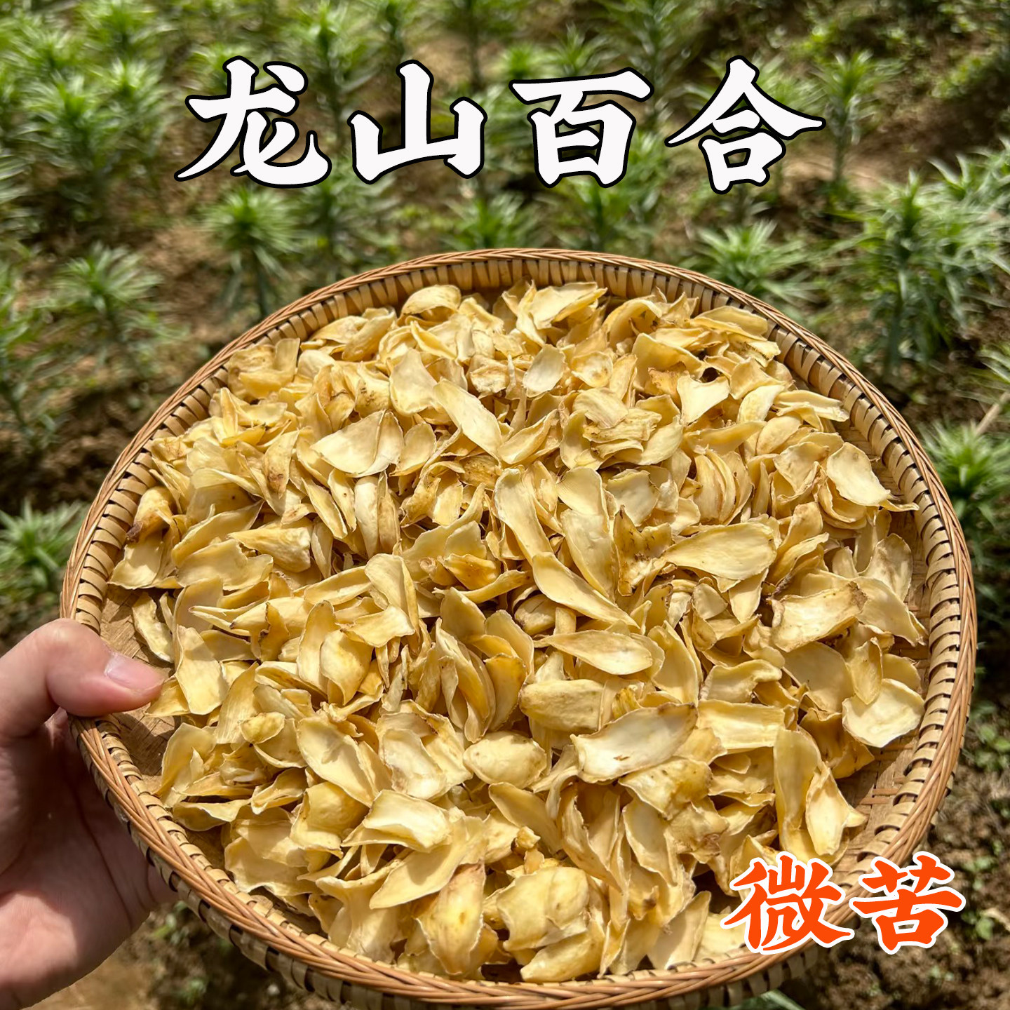 湖南龙山无硫百合干新货500g特级中药材正品非野生袋装重瓣莲子