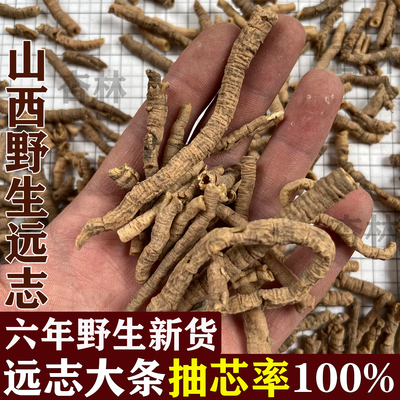 山西远志中药材正品抽芯率100%
