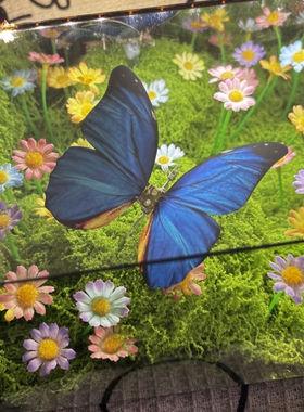 绿野仙踪春日蝴蝶魔方小夜灯DIY手工材料包送女生女朋友闺蜜礼物