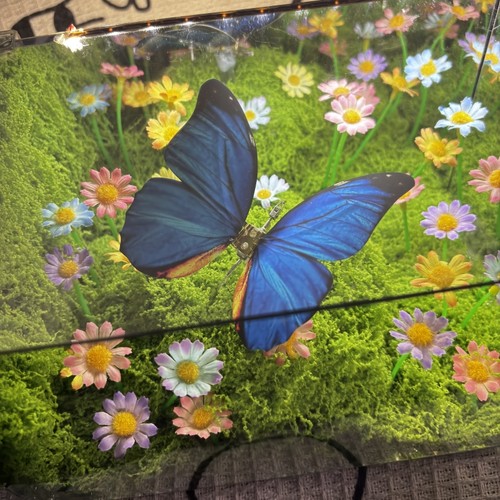 绿野仙踪春日蝴蝶魔方小夜灯