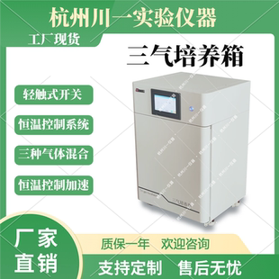 实验室仪器多气体三气缺氧细胞培养箱多种容量可定制