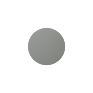 红参果种子/进口红香果种子 珍稀水果种 奇瓜异果 水果种子 1粒