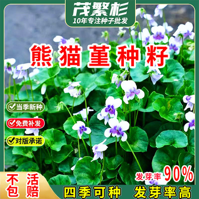 四季多年生草本宿根庭院地被植物