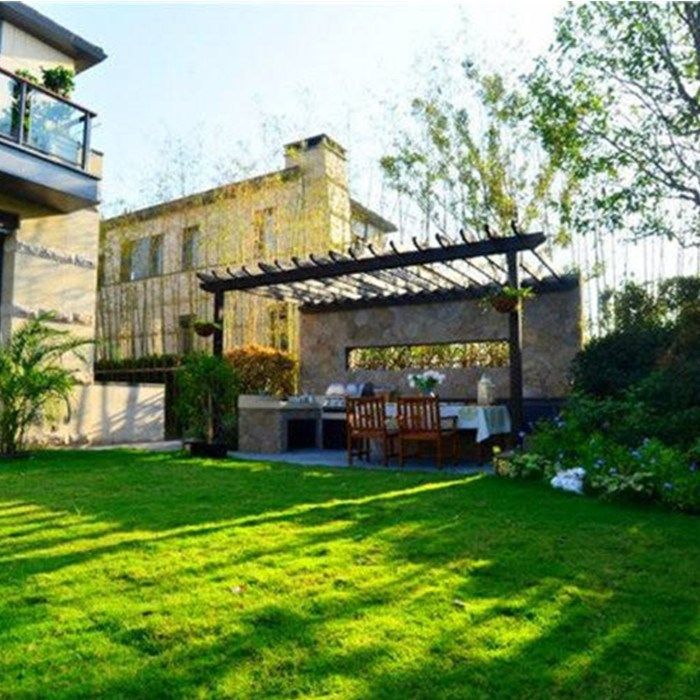 匍匐剪股颖草坪种子草籽四季常青庭院别墅绿化草籽矮生耐寒草种