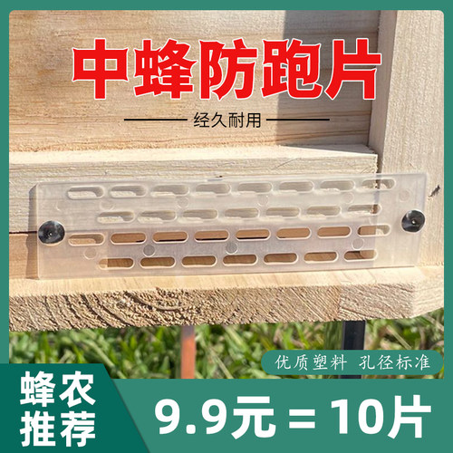 隔王门10个蜂箱中蜂防跑蜜蜂用具养蜂专用工具防蜂王飞逃分蜂神器