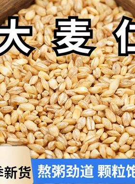 江苏精制去壳大麦米现磨去皮大麦仁米新鲜八宝粥料原料低脂粗粮
