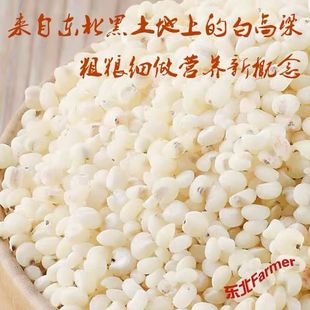 高粱米东北高粱米粗粮米去壳皮白高粱米粗粮杂粮煮粥煮饭包邮发货