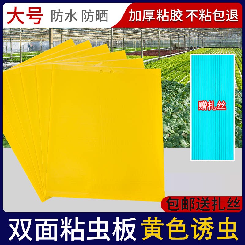 粘虫板黄板双面大棚菜园粘蚊贴苍蝇贴果园粘蝇纸小飞虫果蝇诱捕器