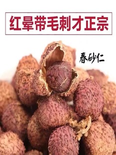 正宗广东阳江特产阳春用药春砂仁包邮香毛沙仁果500克g养胃中药材