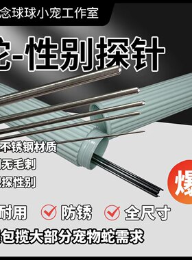 宠物蛇性别探针猪鼻蛇玉米蛇黑王蛇森王布鲁克爬宠用品