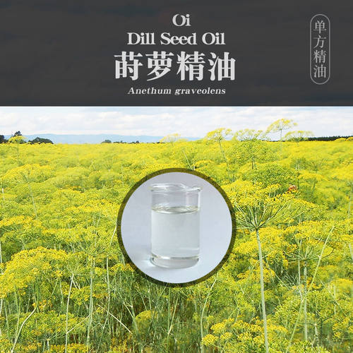 柔续®奥地利莳萝精油5ml单方精油芳疗美容天然植物精油香薰按摩