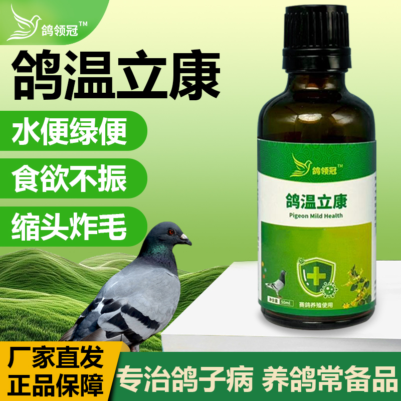 鸽领冠鸽温立康鸽用水绿便甩拉吐