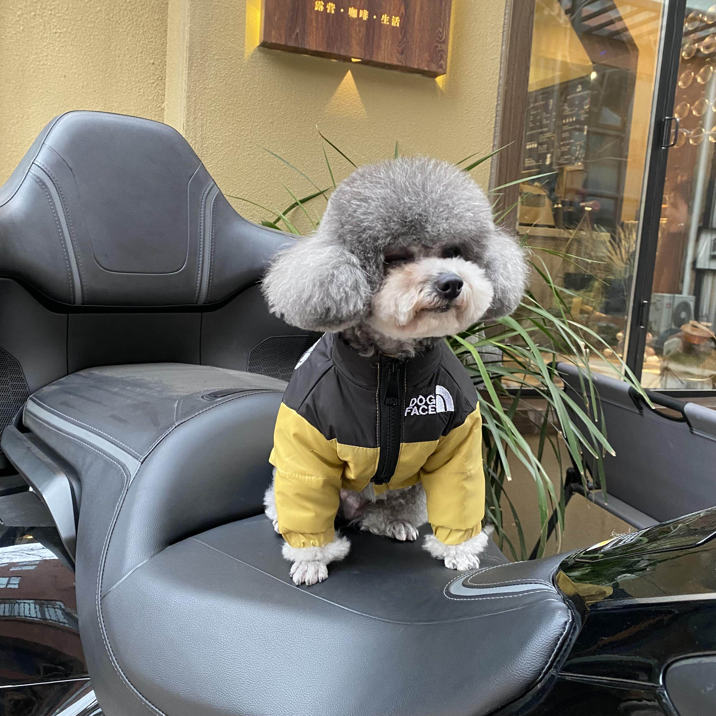2023新款泰迪柯基柴犬比熊法狗宠物服装/雨衣