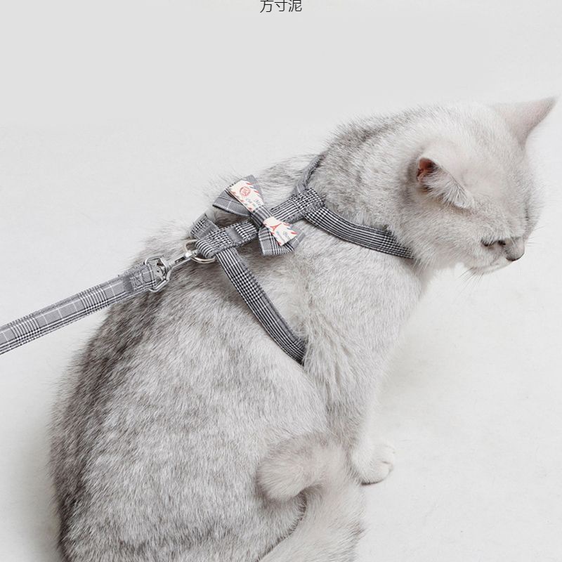 新款遛猫绳猫牵引绳外出可调节防逃脱可爱胸背带猫咪宠物用品