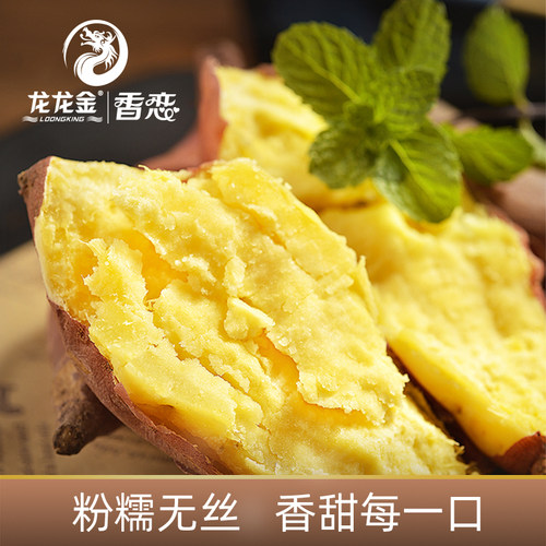 粉糯香甜龙龙金板栗甘薯农家自种