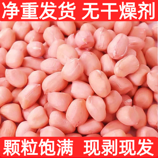 2025花生米白沙精选新货粉皮榨油粉红大粒无壳生花生米新鲜便宜