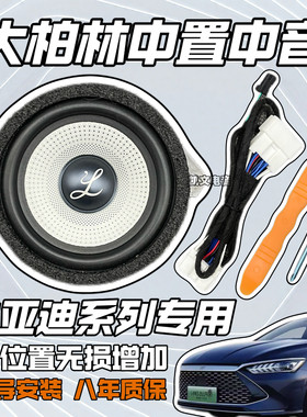 比亚迪专用大柏林中置音响