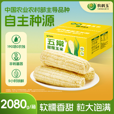 农科玉东北甜糯玉米棒真空包装